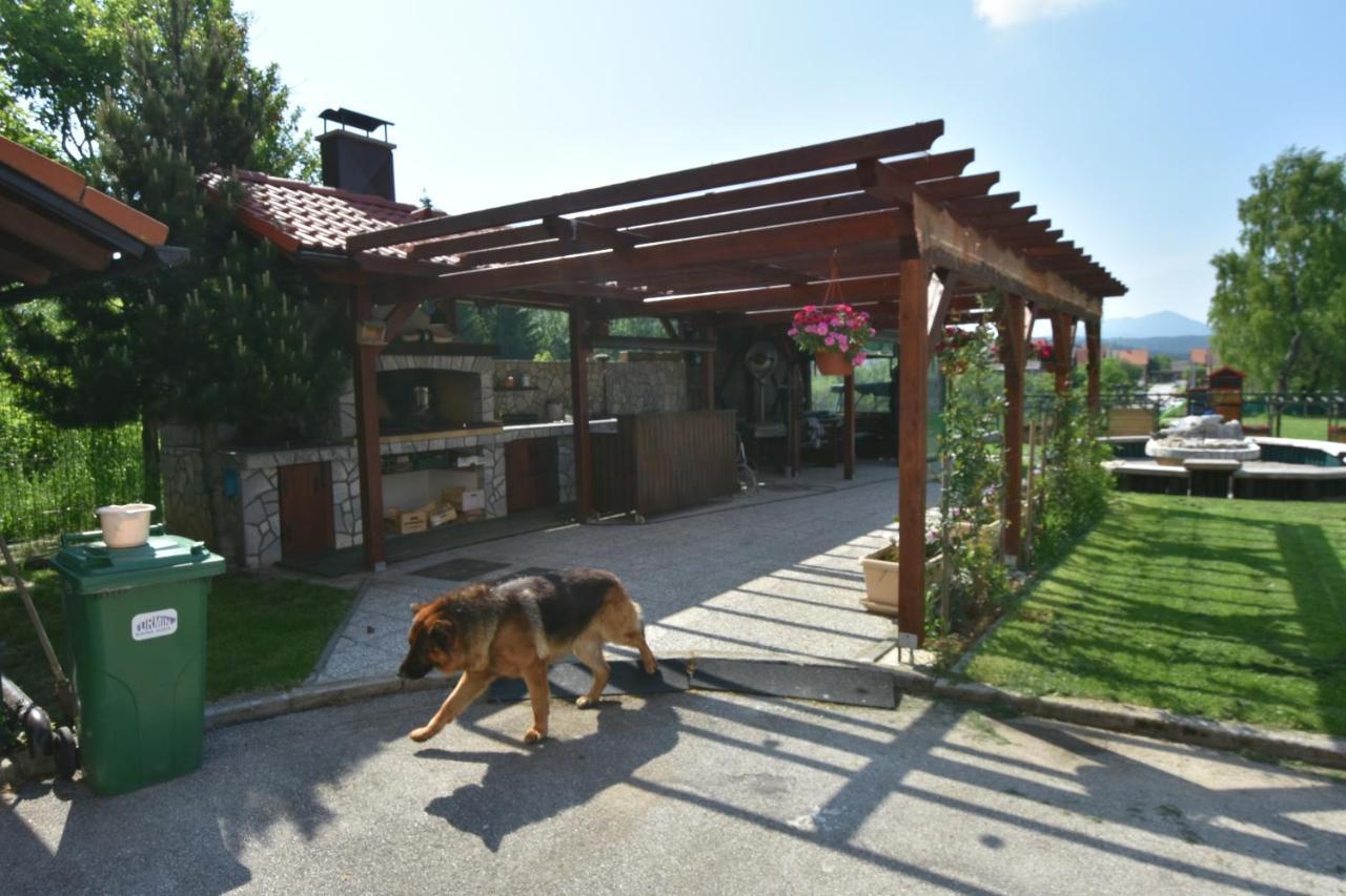 Apartments And Rooms Kod Eli Ravna Gora Εξωτερικό φωτογραφία