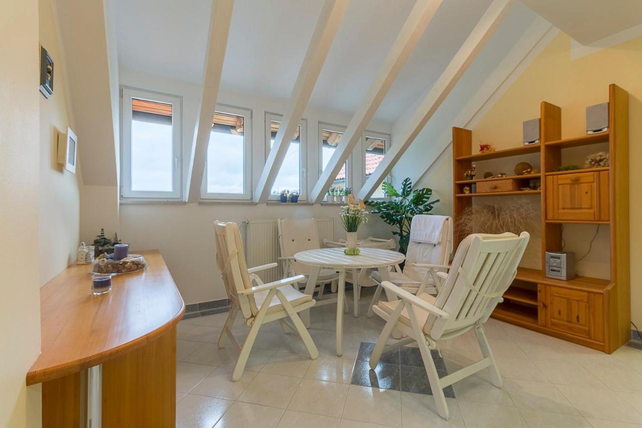 Apartments And Rooms Kod Eli Ravna Gora Εξωτερικό φωτογραφία