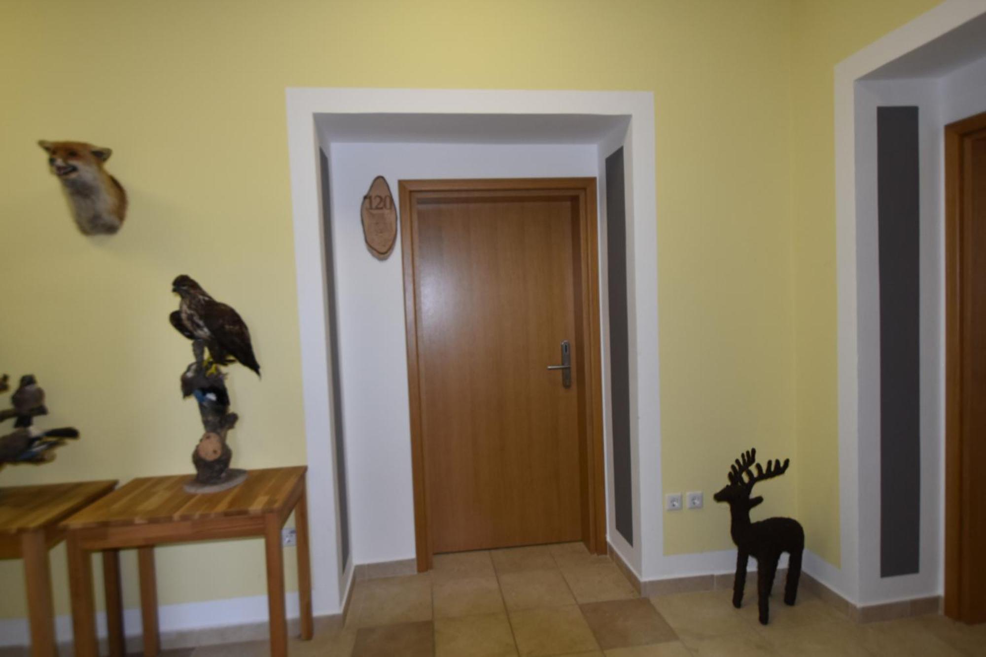 Apartments And Rooms Kod Eli Ravna Gora Εξωτερικό φωτογραφία